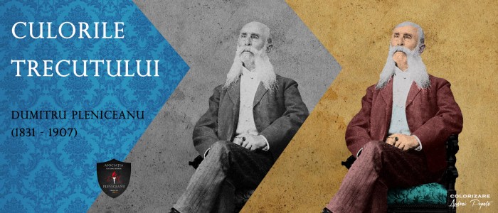 Culorile trecutului - D. Pleniceanu