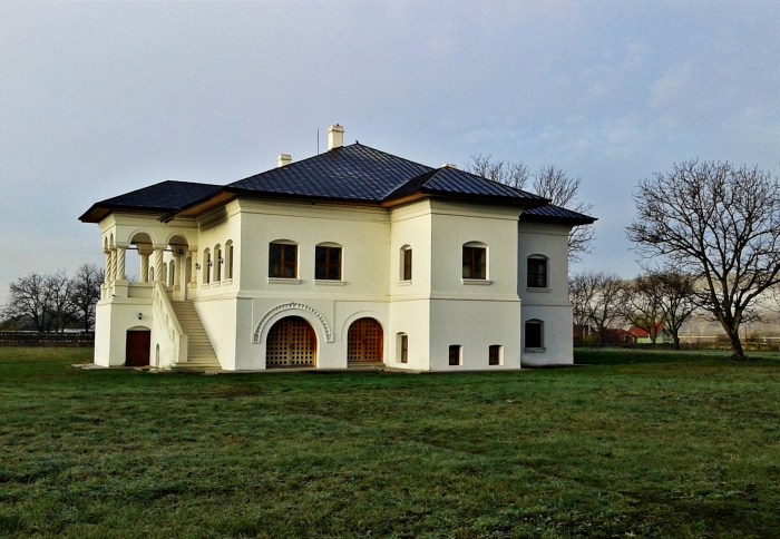 Casa Pleniceanu