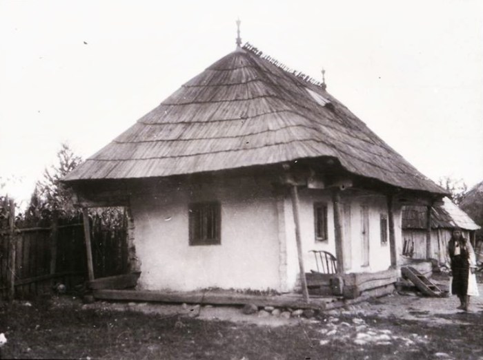 insert-1-ecaterina-teodoroiu